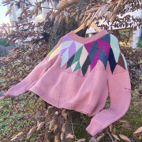 Intarsia - Tröja
2