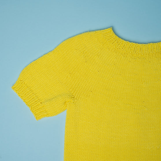 The Yellow Jersey - Tour de France
2