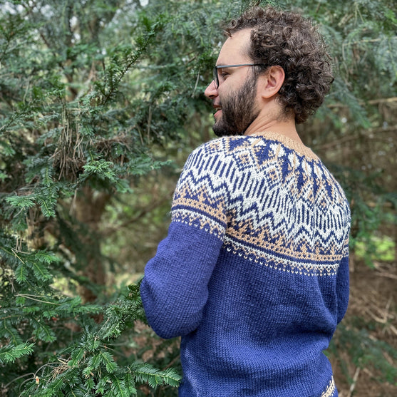 Arctic Starry Night - Unisex Tröja
2