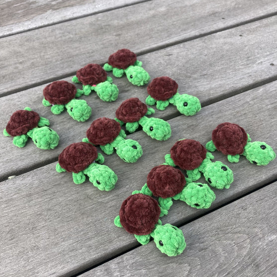 Rainbow Turtles - Memory Spel
12