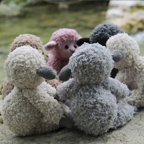 Teddy Basserne
6