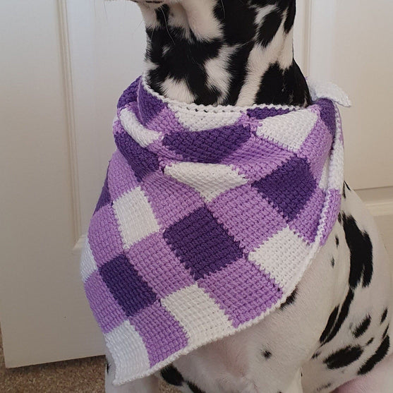 Summer Picnic - Hund Scarf
2