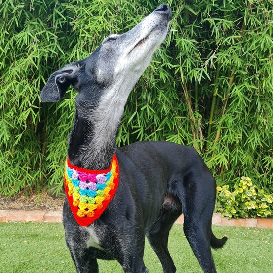 Dandy - Hund Bandana
3