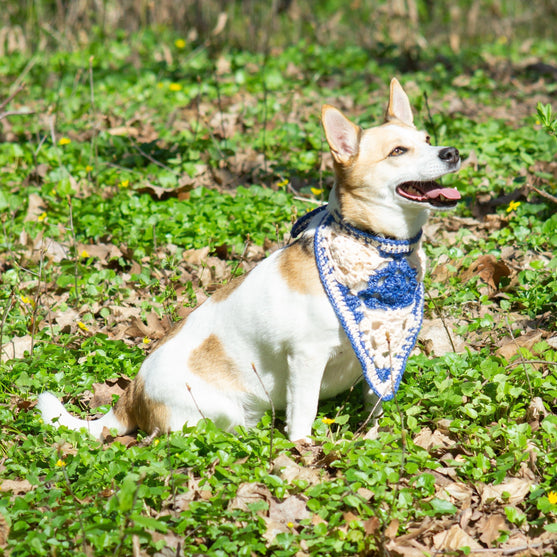 Gina - Hund bandana
2