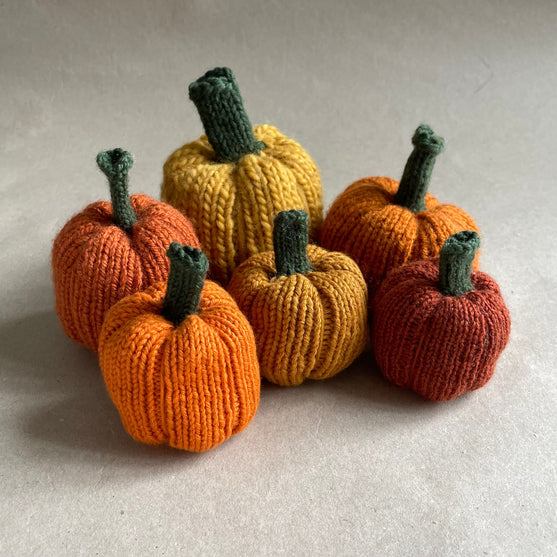 Mini-pumpkin - Small decoration pumpkins
7