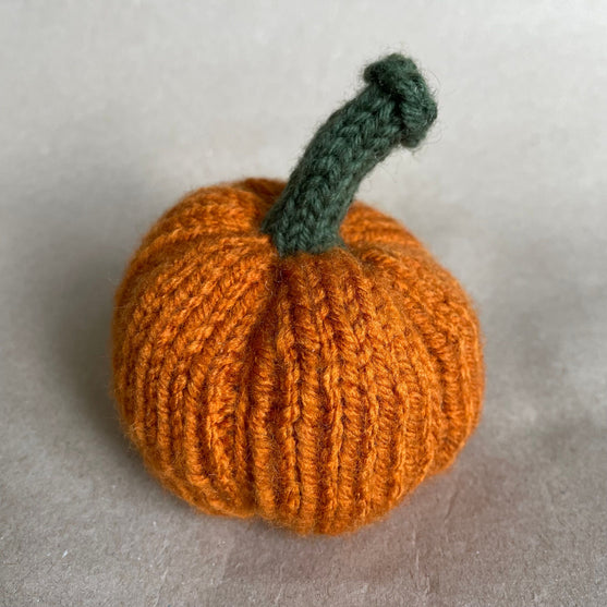 Mini-pumpkin - Small decoration pumpkins
6