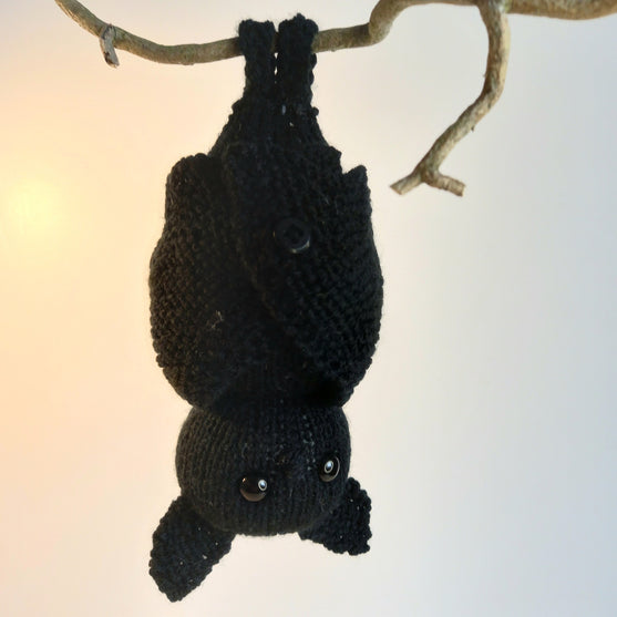 Bernard Bat
5