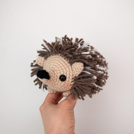 Heath the Hedgehog
2