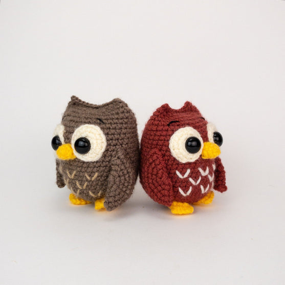 Ollie and Opal the Owls
2