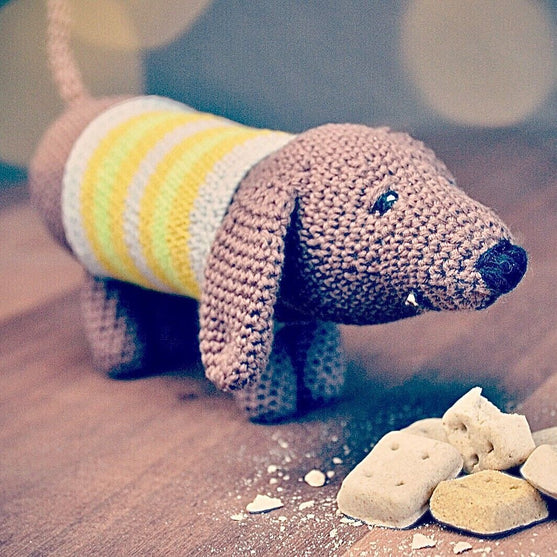 Dagobert Dachshund
5