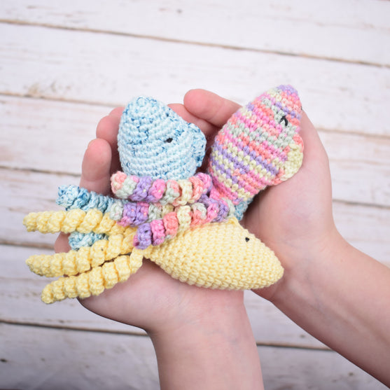 Comfort Fish – Jelly Junior
2