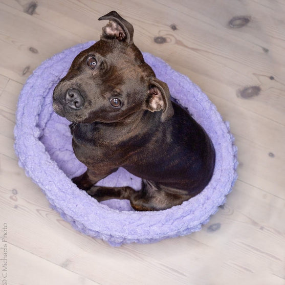 My Place - Dog Basket
6