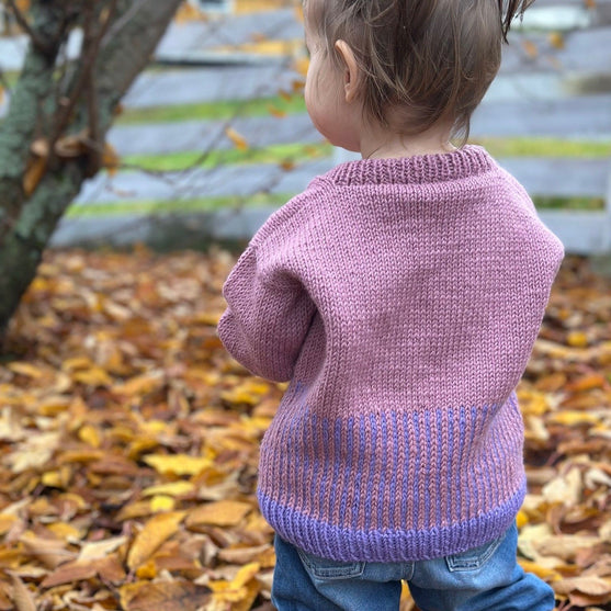 Easy Colour Mix Sweater Junior - Tröja
3