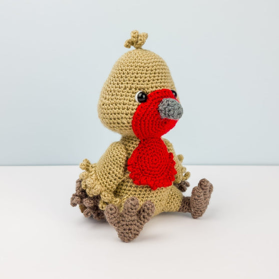 Ruddock the Robin
3