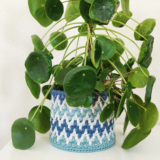 Chunky ZigZag - Basket
3