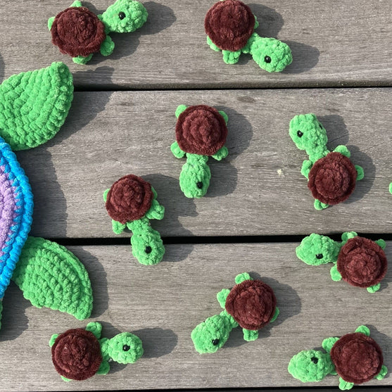 Rainbow Turtles - Memory Spel
8