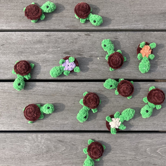 Rainbow Turtles - Memory Spel
9