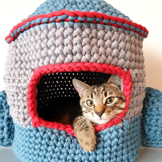Space Cat - Katt Koja
2