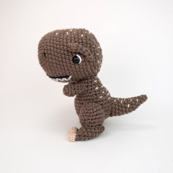 Troy the T-Rex
4