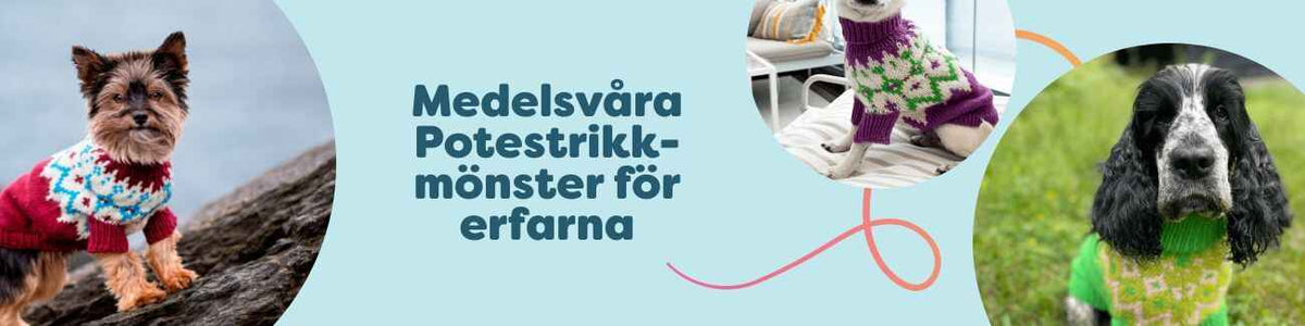 Översiktsbild av fem medelsvåra hundtröjemönster i stickning (Potestrikk) för raserna Chihuahua, Yorkshire terrier, Cocker spaniel, Dalmatiner och Bichon havanais med garn från Hobbii.