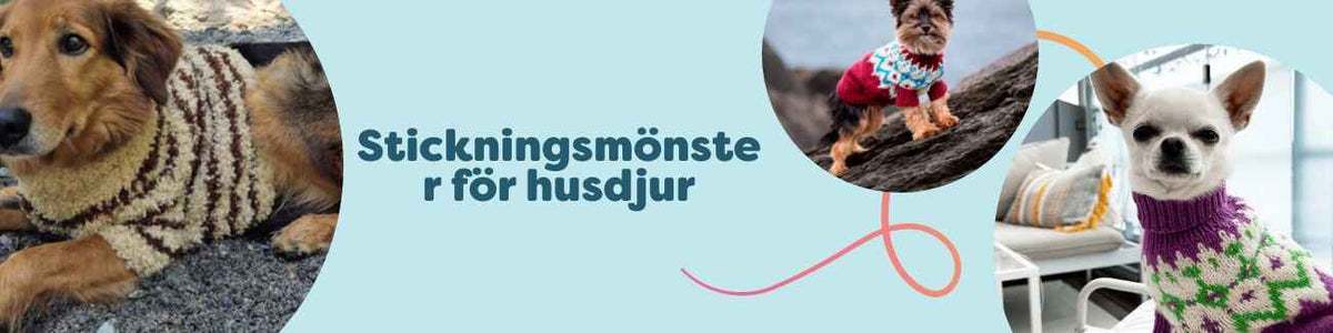Kollektion med stickningsmönster för husdjur från Hobbii – varma hundtröjor i flera storlekar, stickade i mjukt garn, fotograferade på hund.