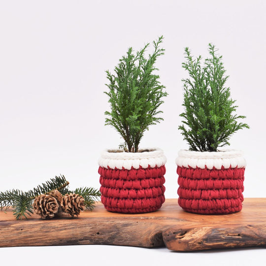 Julytterfoder - Liten