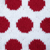 

The Polka Dot Jersey - Tour de France
6