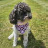 

Millie’s - Hundescarf
2