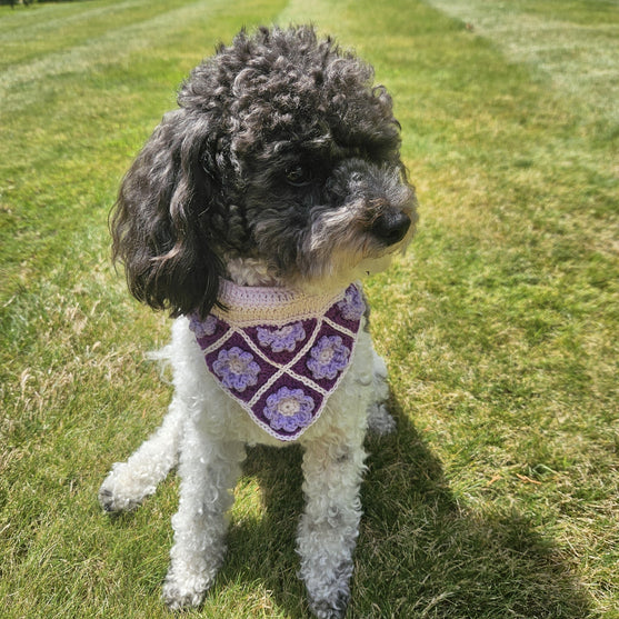 

Millie’s - Hundescarf
2