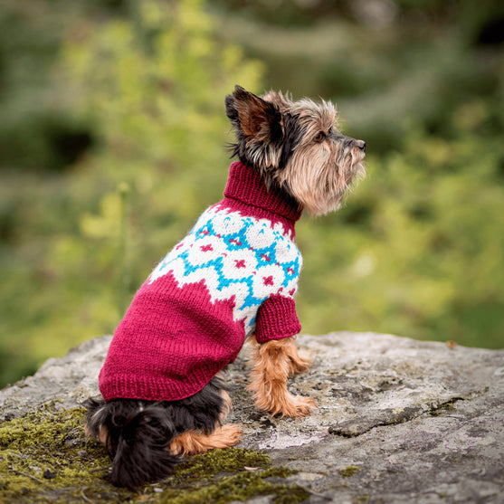 

Yorkshireterrier - Hundtröja
3
