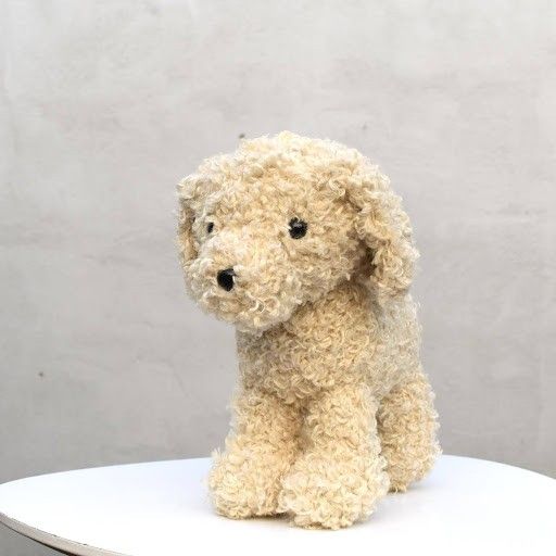 Doodle Dog