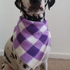 

Summer Picnic - Hund Scarf
1