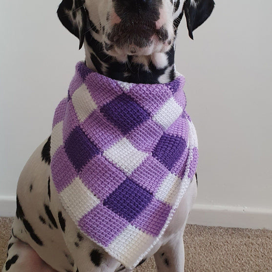 

Summer Picnic - Hund Scarf
1