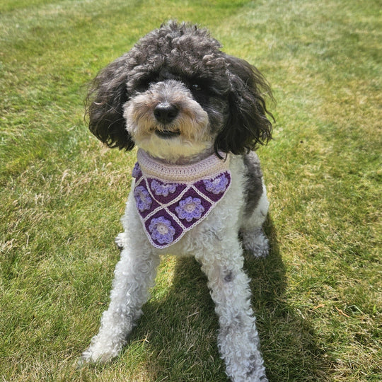 Millie’s - Hundescarf