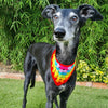 

Dandy - Hund Bandana
1