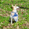 

Gina - Hund bandana
1