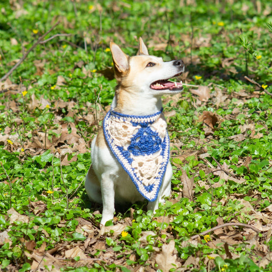 

Gina - Hund bandana
1