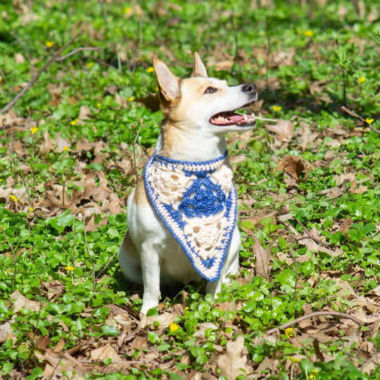 Gina - Hund bandana