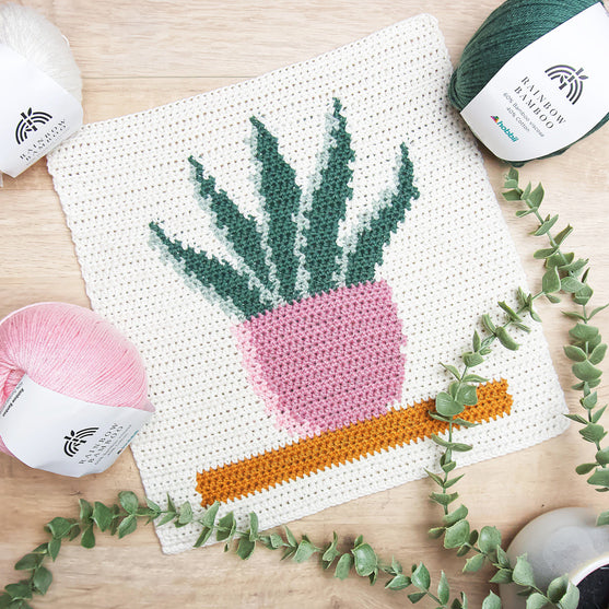 

Snake Plant - Väggdekoration
2