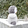 

Pingvinen Pippo
3