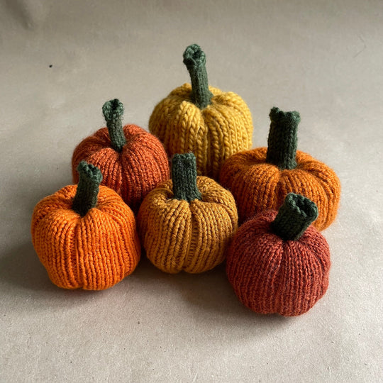 Mini-pumpkin - Small decoration pumpkins