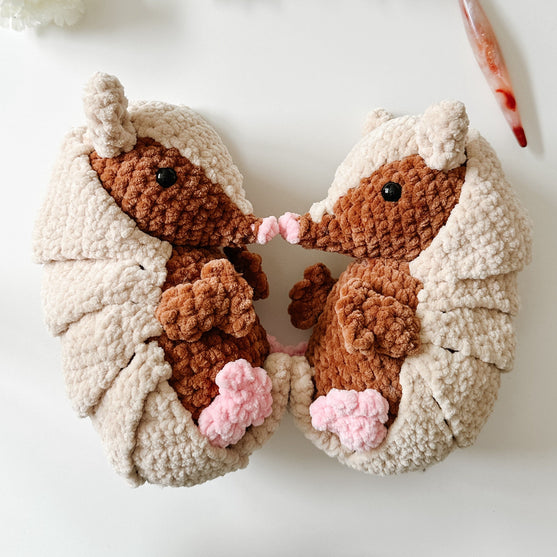 

Bältdjuret Armando
4