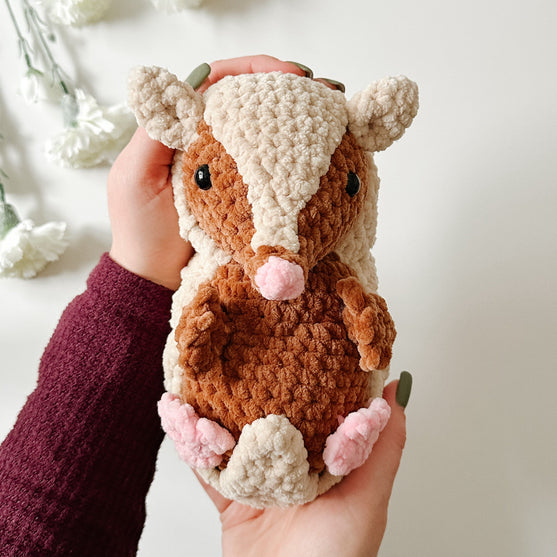 

Bältdjuret Armando
2