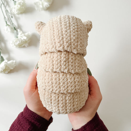 

Bältdjuret Armando
3