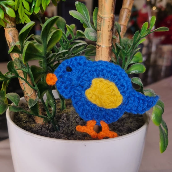 

Piplärka - Applikation
2