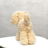 

Doodle Dog
4