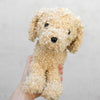 

Doodle Dog
5