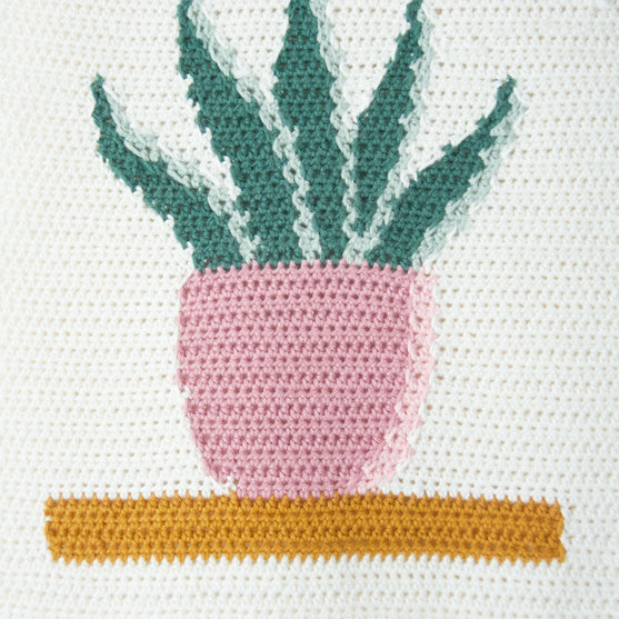 

Snake Plant - Väggdekoration
6