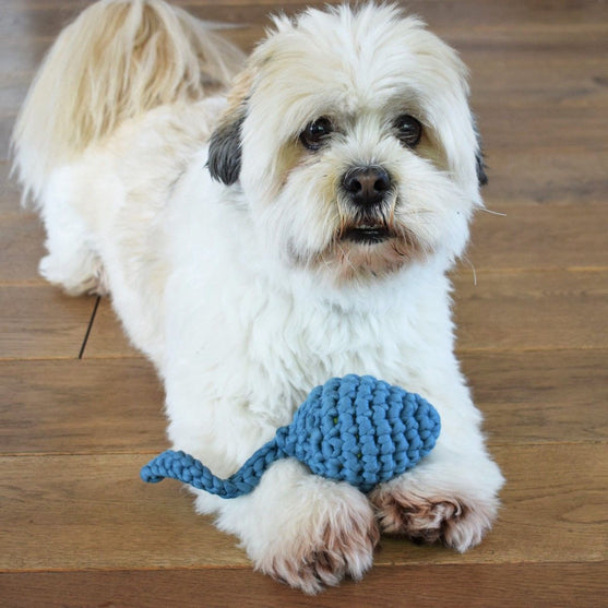 

Grodyngel - Hundleksak
1