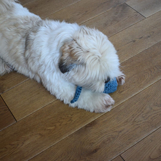 

Grodyngel - Hundleksak
3